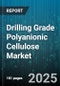 Drilling Grade Polyanionic Cellulose Market by Drilling Fluid Type, Viscosity Grade, Application, End Use, Distribution Channel - Global Forecast to 2030 - Product Image