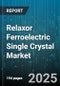 Relaxor Ferroelectric Single Crystal Market - Global Forecast to 2030 - Product Thumbnail Image