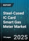 Steel-Cased IC Card Smart Gas Meter Market - Cumulative Impact of United States Tariffs 2025 - Global Forecast to 2030 - Product Thumbnail Image