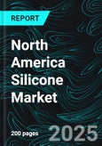 North America Silicone Market Size and Growth Trends and Forecast Report 2025-2033- Product Image