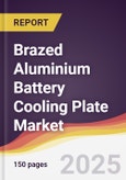 Brazed Aluminium Battery Cooling Plate Market Report: Trends, Forecast and Competitive Analysis to 2031- Product Image