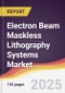 Electron Beam Maskless Lithography Systems Market Report: Trends, Forecast and Competitive Analysis to 2031 - Product Image