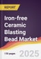 Iron-free Ceramic Blasting Bead Market Report: Trends, Forecast and Competitive Analysis to 2031 - Product Thumbnail Image