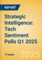 Strategic Intelligence: Tech Sentiment Polls Q1 2025 - Product Thumbnail Image