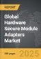 Hardware Secure Module Adapters - Global Strategic Business Report - Product Thumbnail Image