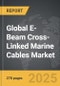 E-Beam Cross-Linked Marine Cables - Global Strategic Business Report - Product Image