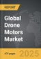 Drone Motors - Global Strategic Business Report - Product Thumbnail Image