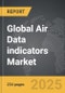 Air Data indicators - Global Strategic Business Report - Product Thumbnail Image