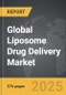 Liposome Drug Delivery - Global Strategic Business Report - Product Thumbnail Image
