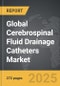 Cerebrospinal Fluid Drainage Catheters - Global Strategic Business Report - Product Thumbnail Image