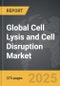 Cell Lysis and Cell Disruption - Global Strategic Business Report - Product Image