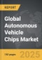 Autonomous Vehicle Chips - Global Strategic Business Report - Product Image