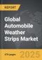 Automobile Weather Strips - Global Strategic Business Report - Product Thumbnail Image