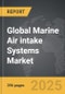 Marine Air intake Systems - Global Strategic Business Report - Product Thumbnail Image
