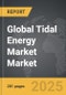 Tidal Energy Market - Global Strategic Business Report - Product Thumbnail Image