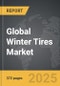 Winter Tires - Global Strategic Business Report - Product Thumbnail Image
