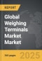 Weighing Terminals Market - Global Strategic Business Report - Product Thumbnail Image