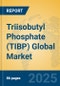 Triisobutyl Phosphate (TIBP) Global Market Insights 2025, Analysis and Forecast to 2030, by Manufacturers, Regions, Technology, Application - Product Image
