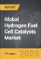 Hydrogen Fuel Cell Catalysts - Global Strategic Business Report - Product Thumbnail Image