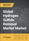 Hydrogen Sulfide Removal Market - Global Strategic Business Report - Product Thumbnail Image