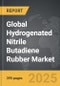 Hydrogenated Nitrile Butadiene Rubber - Global Strategic Business Report - Product Image