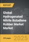 Hydrogenated Nitrile Butadiene Rubber Market - Global Strategic Business Report - Product Thumbnail Image
