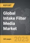 Intake Filter Media - Global Strategic Business Report - Product Thumbnail Image