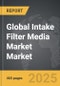 Intake Filter Media Market - Global Strategic Business Report - Product Thumbnail Image