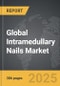 Intramedullary Nails - Global Strategic Business Report - Product Image