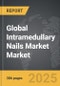 Intramedullary Nails Market - Global Strategic Business Report - Product Thumbnail Image