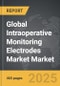 Intraoperative Monitoring Electrodes Market - Global Strategic Business Report - Product Thumbnail Image