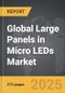 Large Panels in Micro LEDs - Global Strategic Business Report - Product Image
