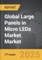 Large Panels in Micro LEDs Market - Global Strategic Business Report - Product Image