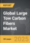 Large Tow Carbon Fibers - Global Strategic Business Report - Product Image