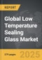 Low Temperature Sealing Glass - Global Strategic Business Report - Product Image