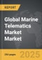 Marine Telematics Market - Global Strategic Business Report - Product Thumbnail Image