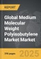 Medium Molecular Weight Polyisobutylene Market - Global Strategic Business Report - Product Thumbnail Image
