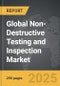 Non-Destructive Testing (NDT) and Inspection - Global Strategic Business Report - Product Image