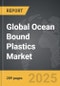 Ocean Bound Plastics - Global Strategic Business Report - Product Thumbnail Image