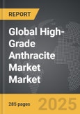 High-Grade Anthracite Market - Global Strategic Business Report- Product Image