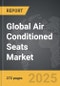 Air Conditioned Seats - Global Strategic Business Report - Product Thumbnail Image