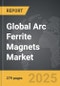 Arc Ferrite Magnets - Global Strategic Business Report - Product Thumbnail Image
