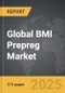 BMI Prepreg - Global Strategic Business Report - Product Thumbnail Image