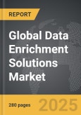 Data Enrichment Solutions - Global Strategic Business Report- Product Image