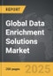 Data Enrichment Solutions - Global Strategic Business Report - Product Thumbnail Image