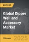 Dipper Well and Accessory - Global Strategic Business Report - Product Thumbnail Image