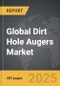 Dirt Hole Augers - Global Stategic Business Report - Product Image