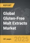 Gluten-Free Malt Extracts - Global Strategic Business Report - Product Thumbnail Image