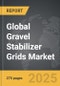 Gravel Stabilizer Grids - Global Strategic Business Report - Product Image