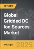 Gridded DC Ion Sources - Global Strategic Business Report- Product Image